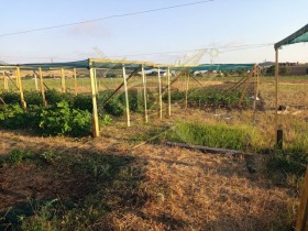 ����� ������� ������,���� ������, �. ���������