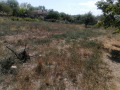 Продава ПАРЦЕЛ, с. Разделна, област Варна, снимка 9