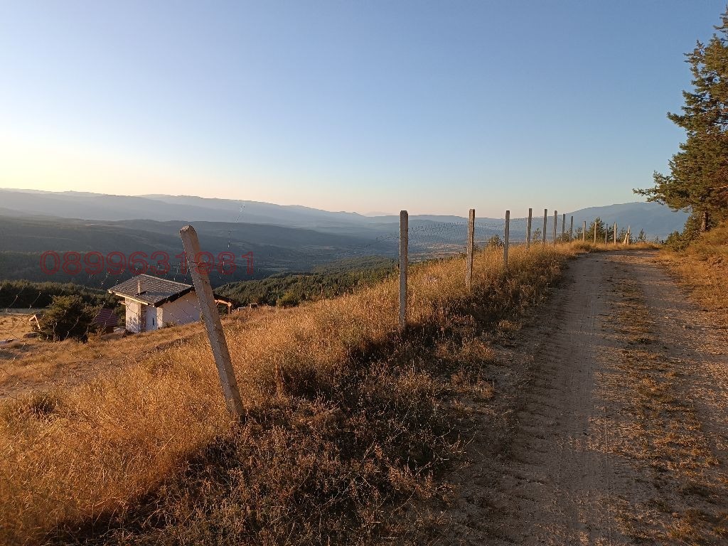 ������� ���� | Imot.bg � ����������� 10