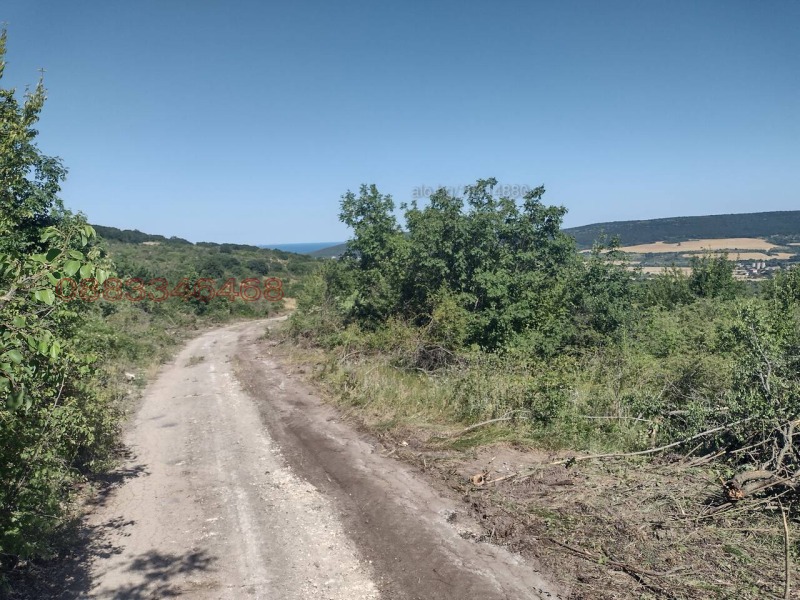 Продава ПАРЦЕЛ, с. Осеново, област Варна, снимка 8 - Парцели - 52843995