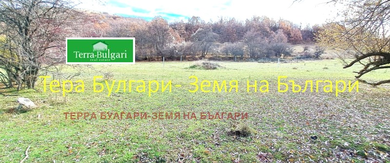Продава ПАРЦЕЛ, с. Боснек, област Перник, снимка 5 - Парцели - 52406547
