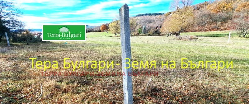 Продава ПАРЦЕЛ, с. Боснек, област Перник, снимка 3 - Парцели - 52406547