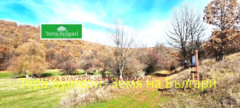 Продава ПАРЦЕЛ, с. Боснек, област Перник, снимка 15 - Парцели - 52406547