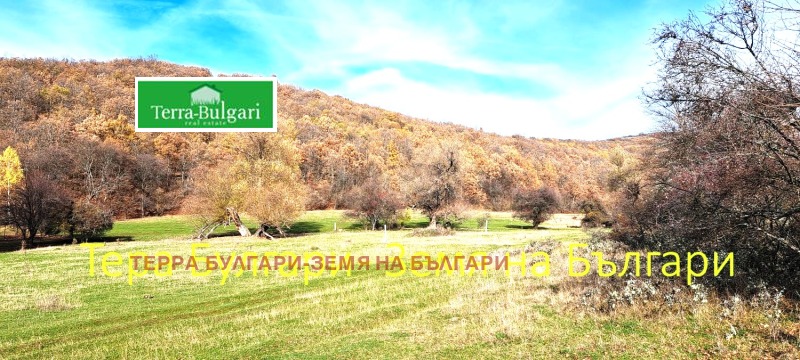 Продава ПАРЦЕЛ, с. Боснек, област Перник, снимка 14 - Парцели - 52406547