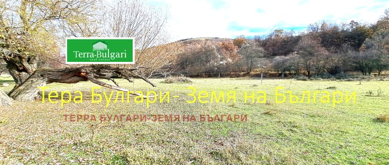 Продава ПАРЦЕЛ, с. Боснек, област Перник, снимка 6 - Парцели - 52406547