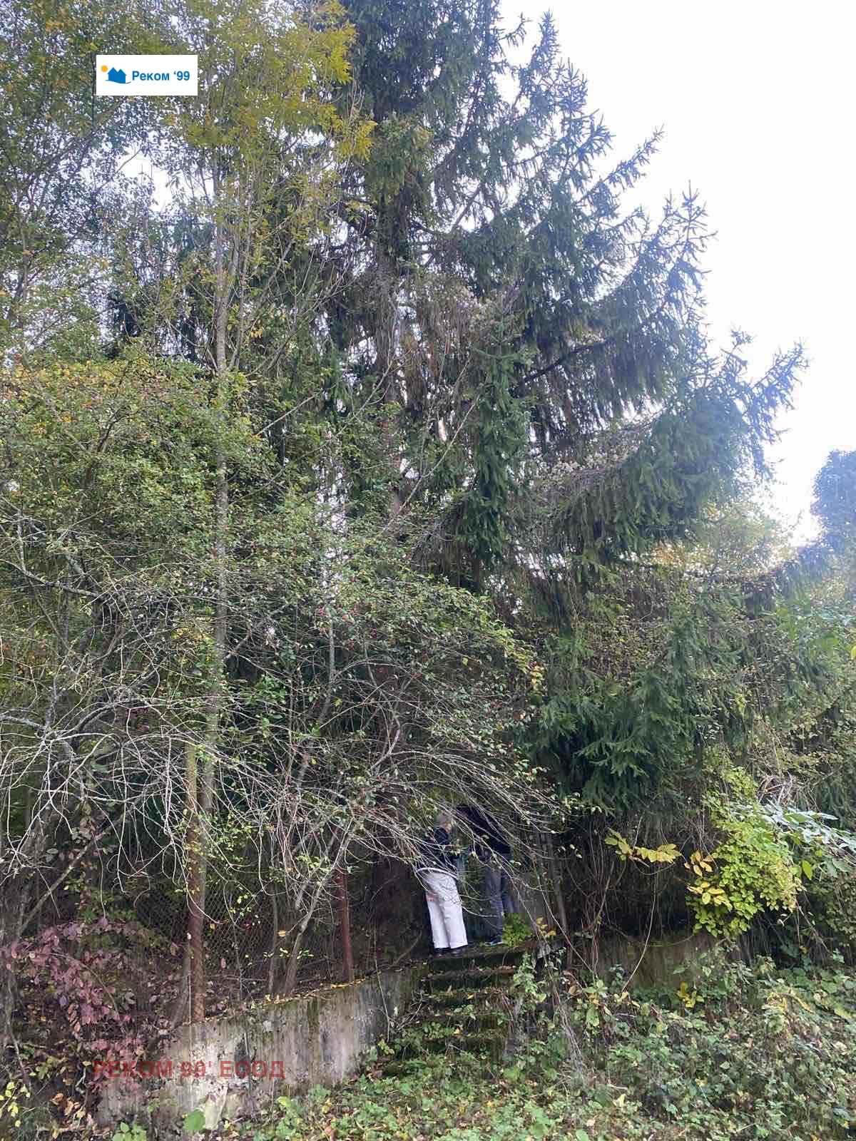 Продава КЪЩА, с. Чеканец, област София област, снимка 14 - Къщи - 54085372