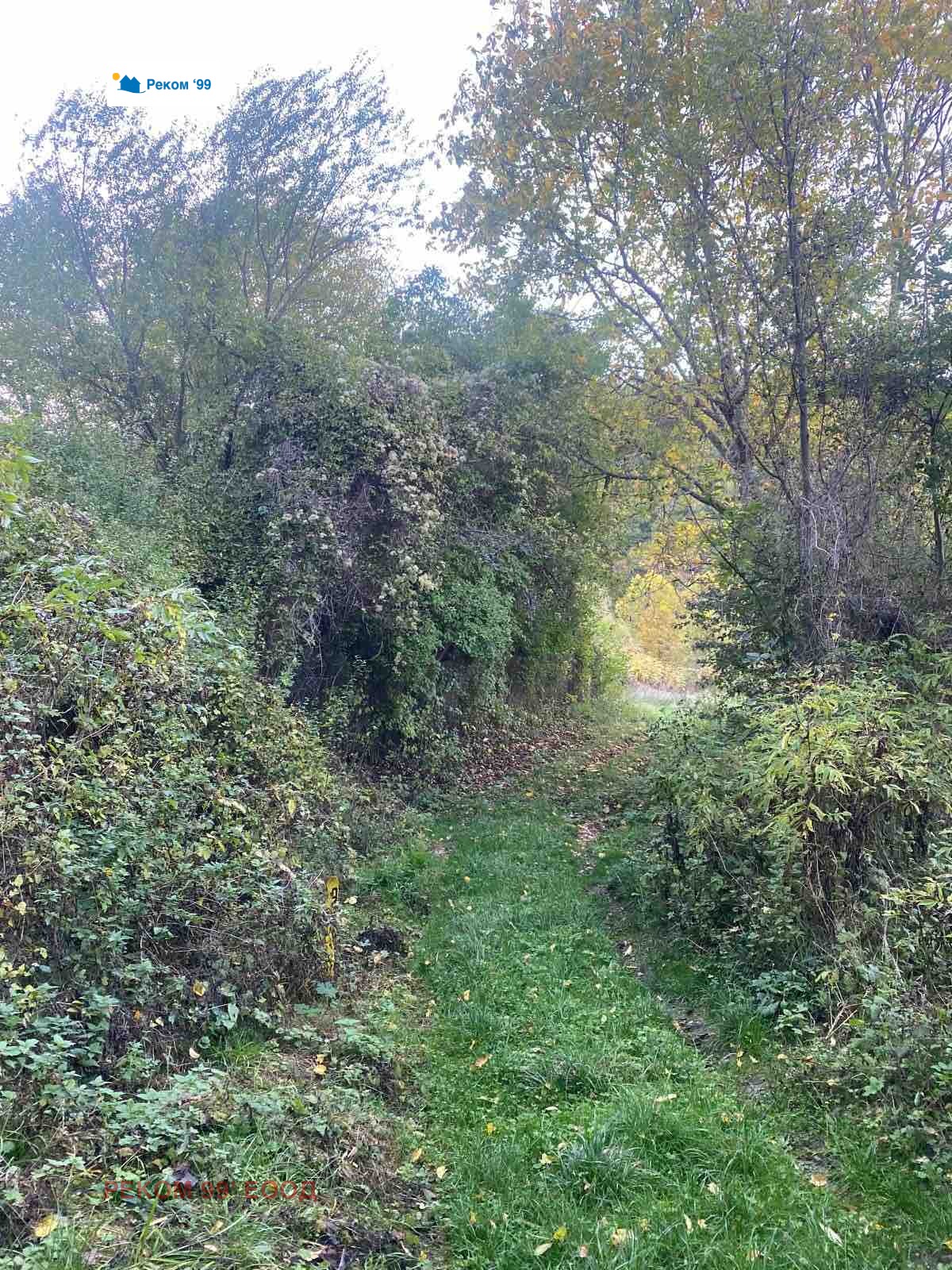 Продава КЪЩА, с. Чеканец, област София област, снимка 13 - Къщи - 54085372