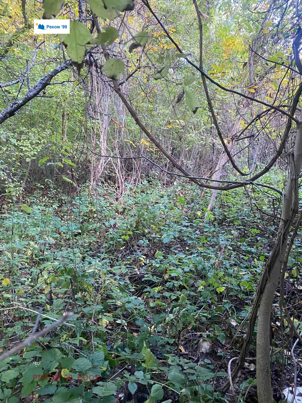 Продава КЪЩА, с. Чеканец, област София област, снимка 11 - Къщи - 54085372