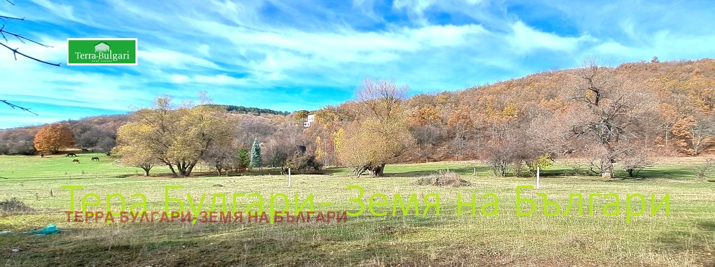 Продава ПАРЦЕЛ, с. Боснек, област Перник, снимка 2 - Парцели - 52406547