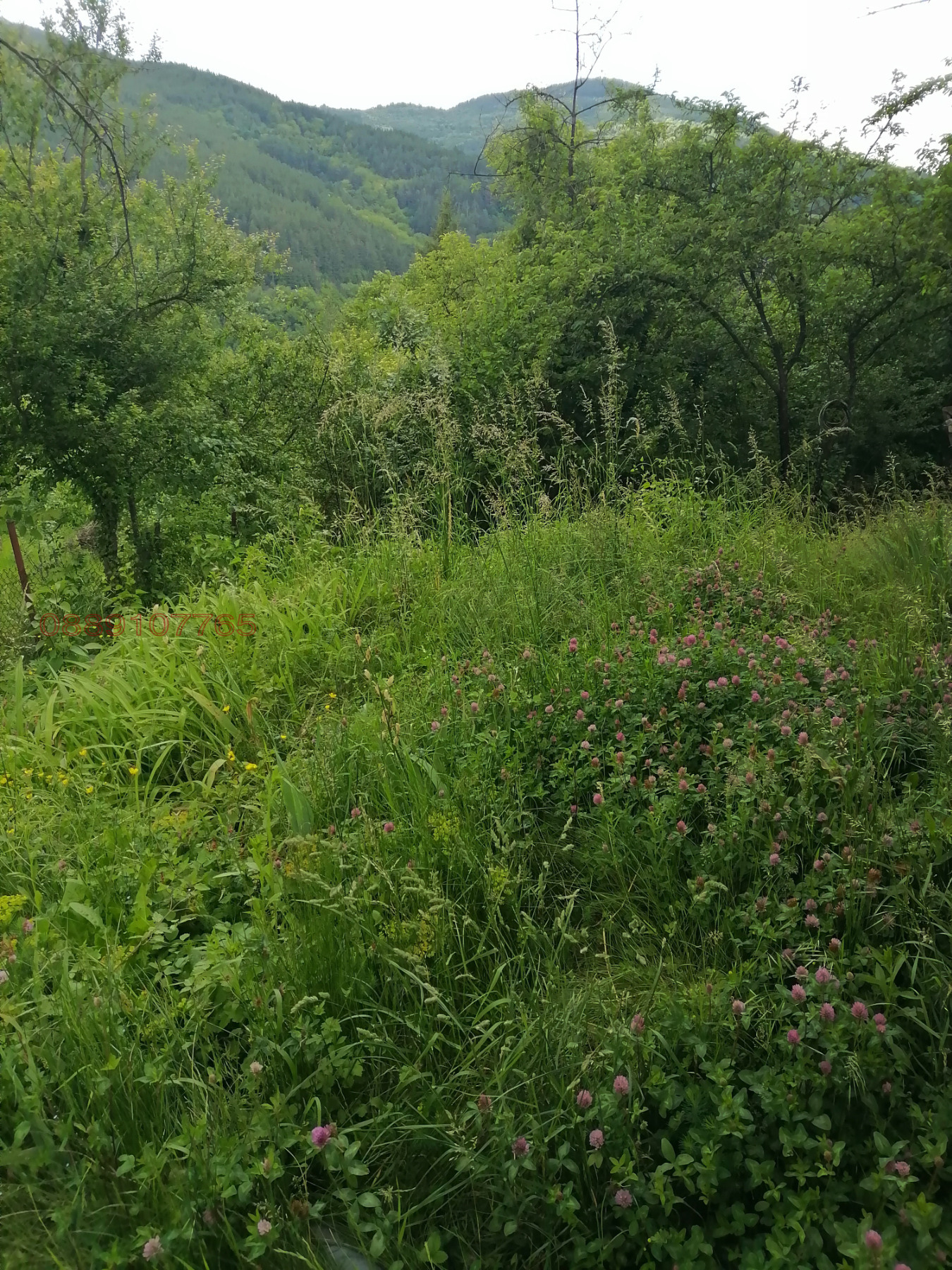 ������� ���� | Imot.bg � ����������� 6