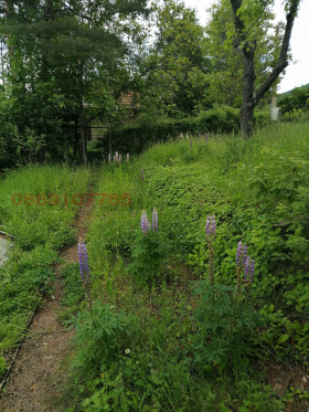 ������� ���� | Imot.bg � ����� ������ 3