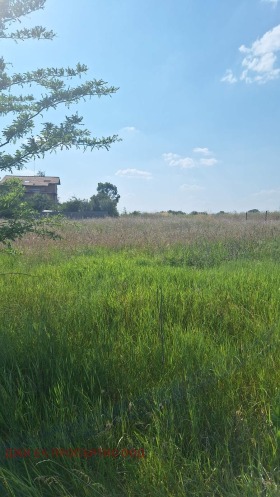 Komplo Mirovyane, Sofia