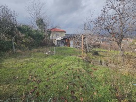 ����� ������� ������,�. �������, ������ ��������