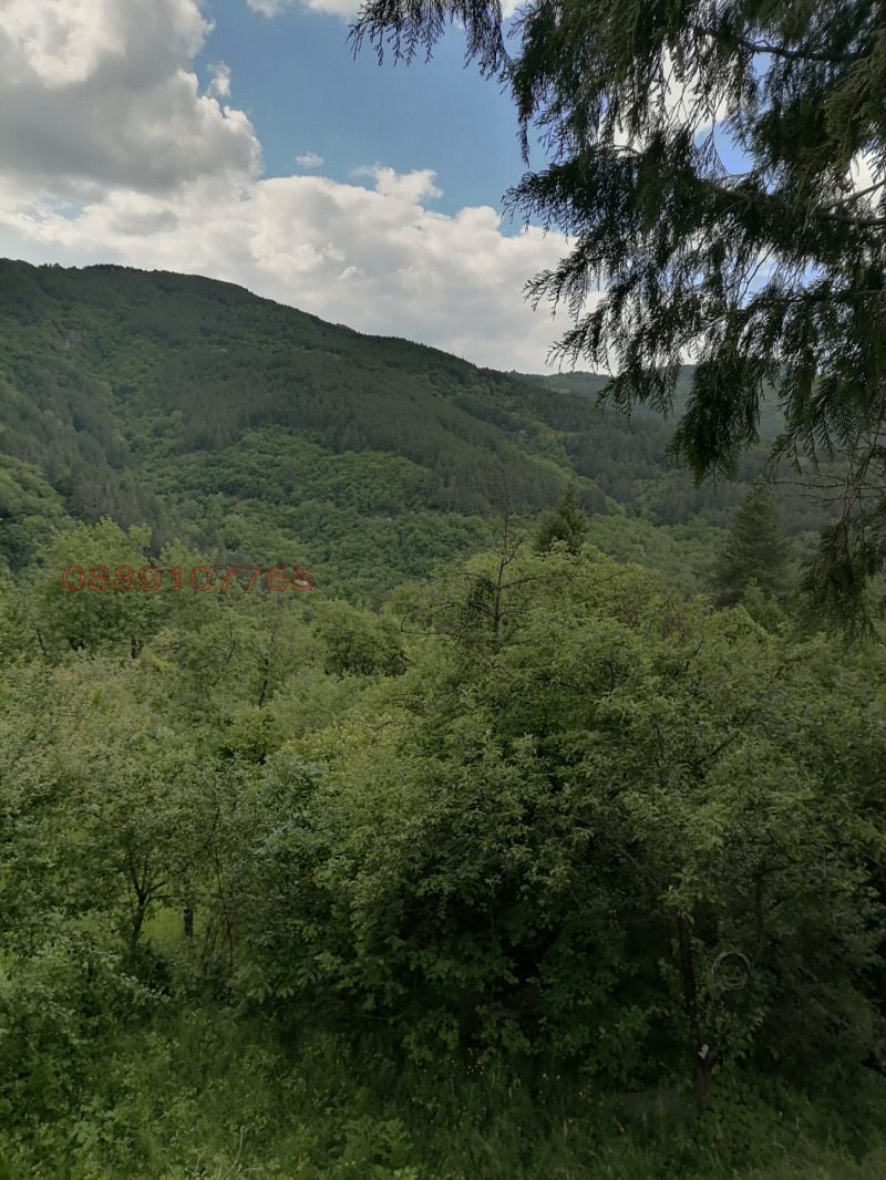 Продава ВИЛА, с. Луково, област София област, снимка 4 - Вили - 53038088