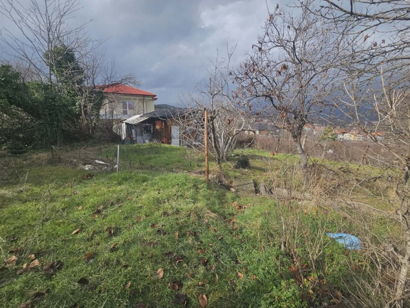 Продава ПАРЦЕЛ, с. Петлино, област Кърджали, снимка 3 - Парцели - 53254149