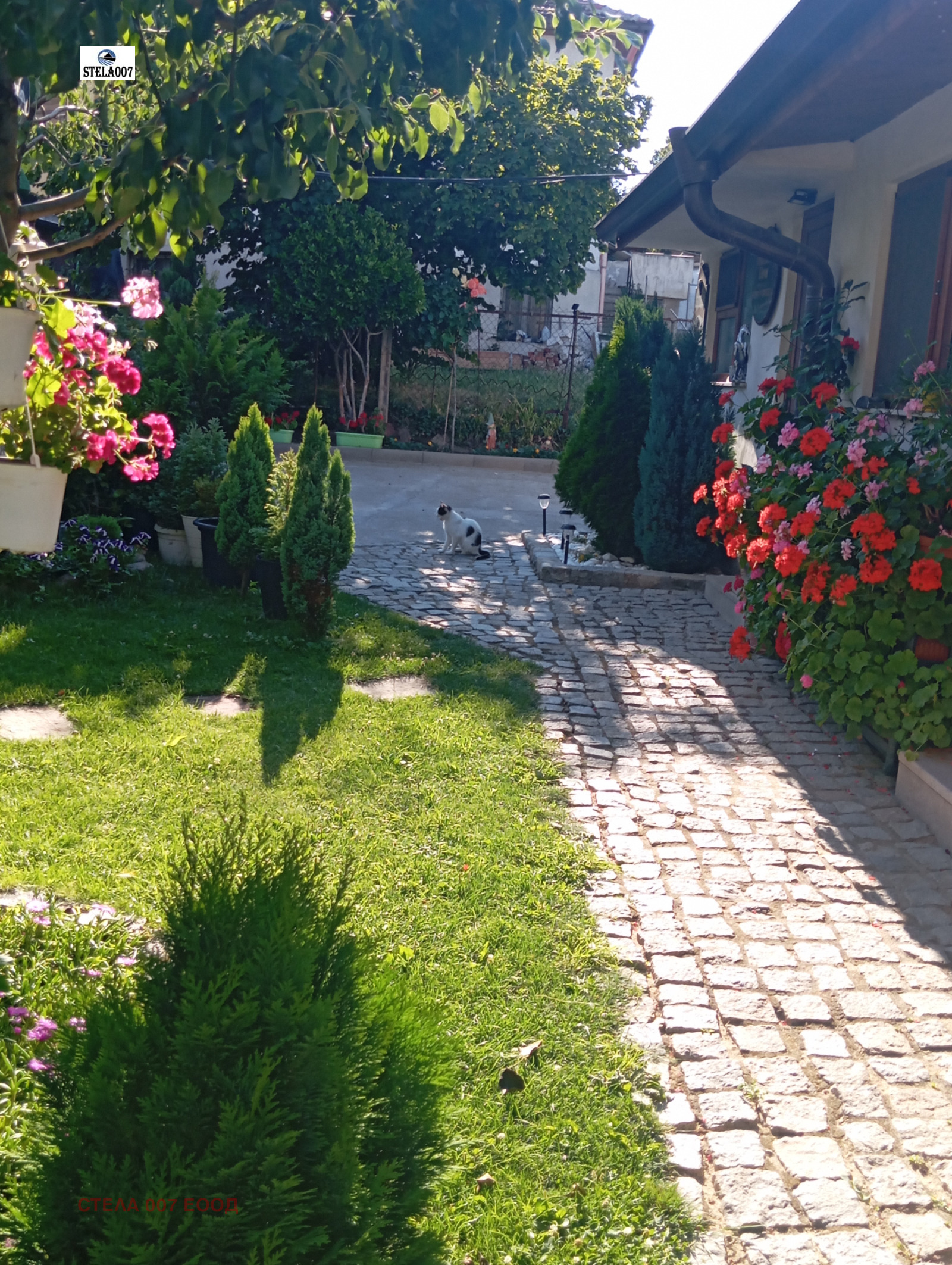 ������� ���� �� ���� | Imot.bg � ����������� 17
