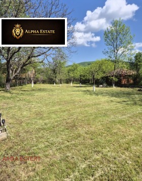 ������� ���� | Imot.bg � ����� ������ 12