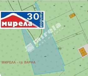 ����� ������� ������,���� �����, �-� �������