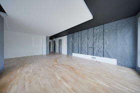 2 chambres Boyana, Sofia 2