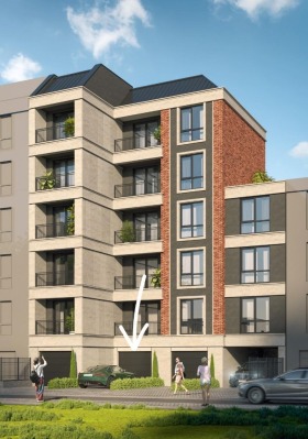 ����� ������� �����,���� ��������, �����������