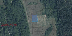 ������ ������� ������