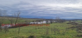 ����� ������� ������,�. �����, ������ ������