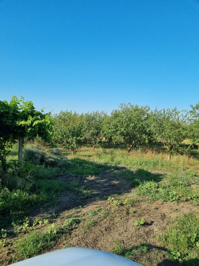 Продава  Земеделска земя област Варна , с. Езерово , 17 дка | 70713311 - изображение [7]