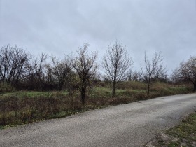 ПАРЦЕЛ, 5 231 m2