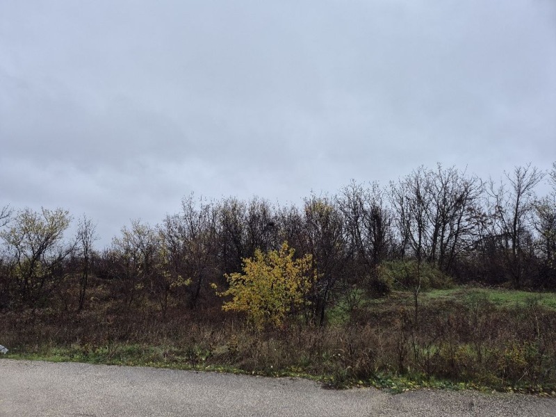 Продава ПАРЦЕЛ, гр. Плевен, Кайлъка, снимка 2 - Парцели - 52695545