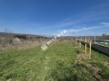 Продава ПАРЦЕЛ, гр. Варна, с. Звездица, снимка 3