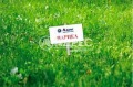 Продава ПАРЦЕЛ, с. Пролеша, област София област, снимка 1