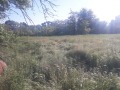Продава  Парцел област Варна , с. Млада гвардия , 2290 кв.м | 61796356 - изображение [2]
