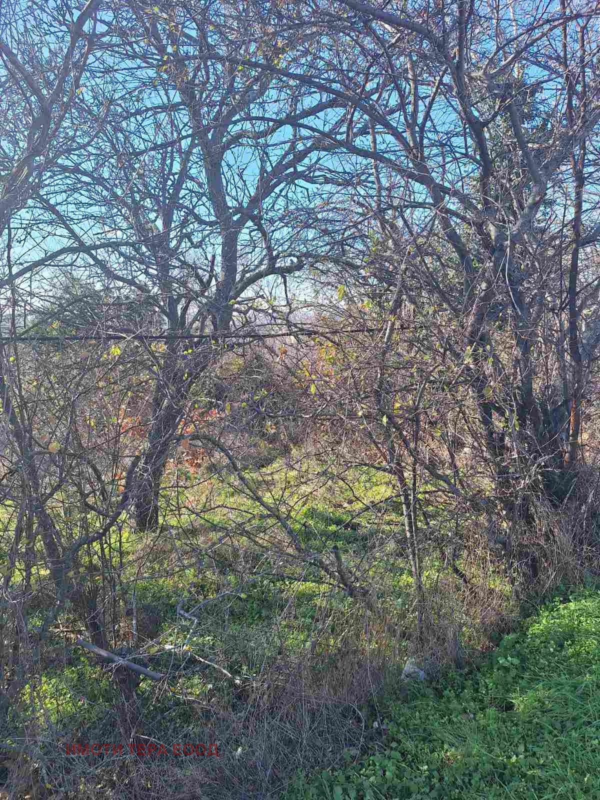 ������� ������ | Imot.bg � ����������� 8