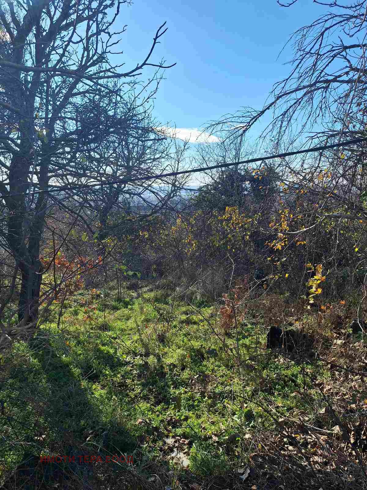 ������� ������ | Imot.bg � ����������� 9