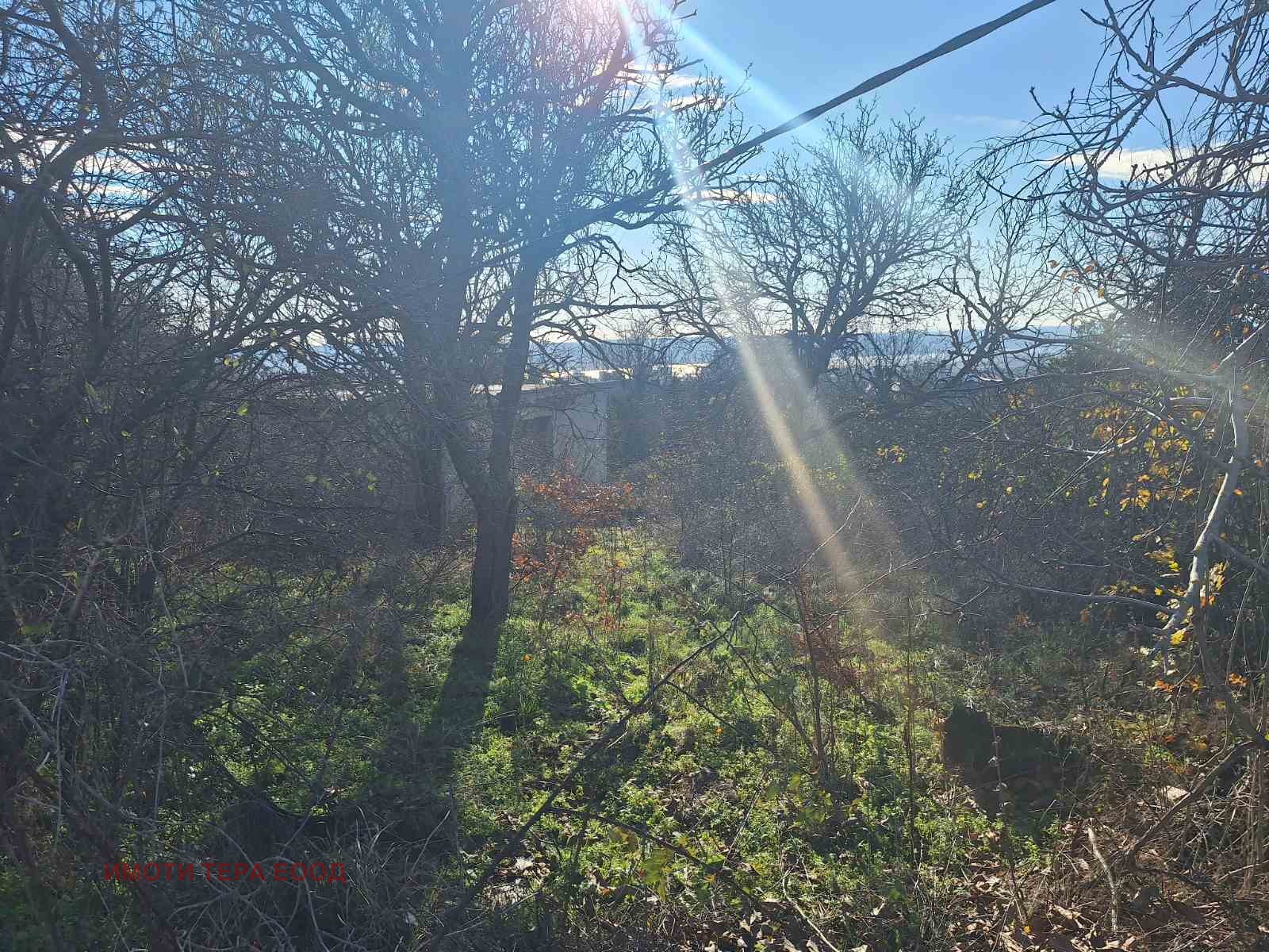 ������� ������ | Imot.bg � ����������� 10