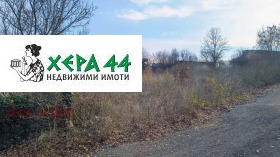 ����� ������� ������,���� �����, �-� ����������� ���