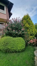 Продава  Къща град Варна , м-т Манастирски рид , 159 кв.м | 47457397 - изображение [16]