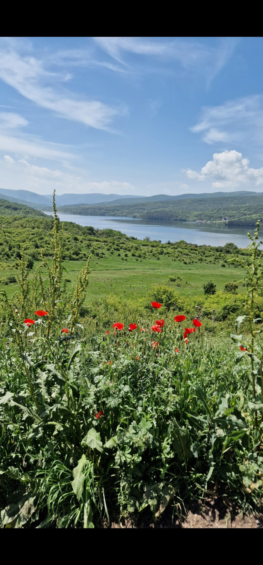 ������� ���������� ���� | Imot.bg � ����������� 1