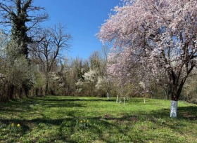 ������� ���� | Imot.bg � ����� ������ 13