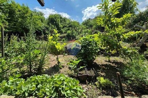Na sprzedaż  Bar; kawiarnia rejon Dobricz , Kranewo , 1545 mkw | 75733303