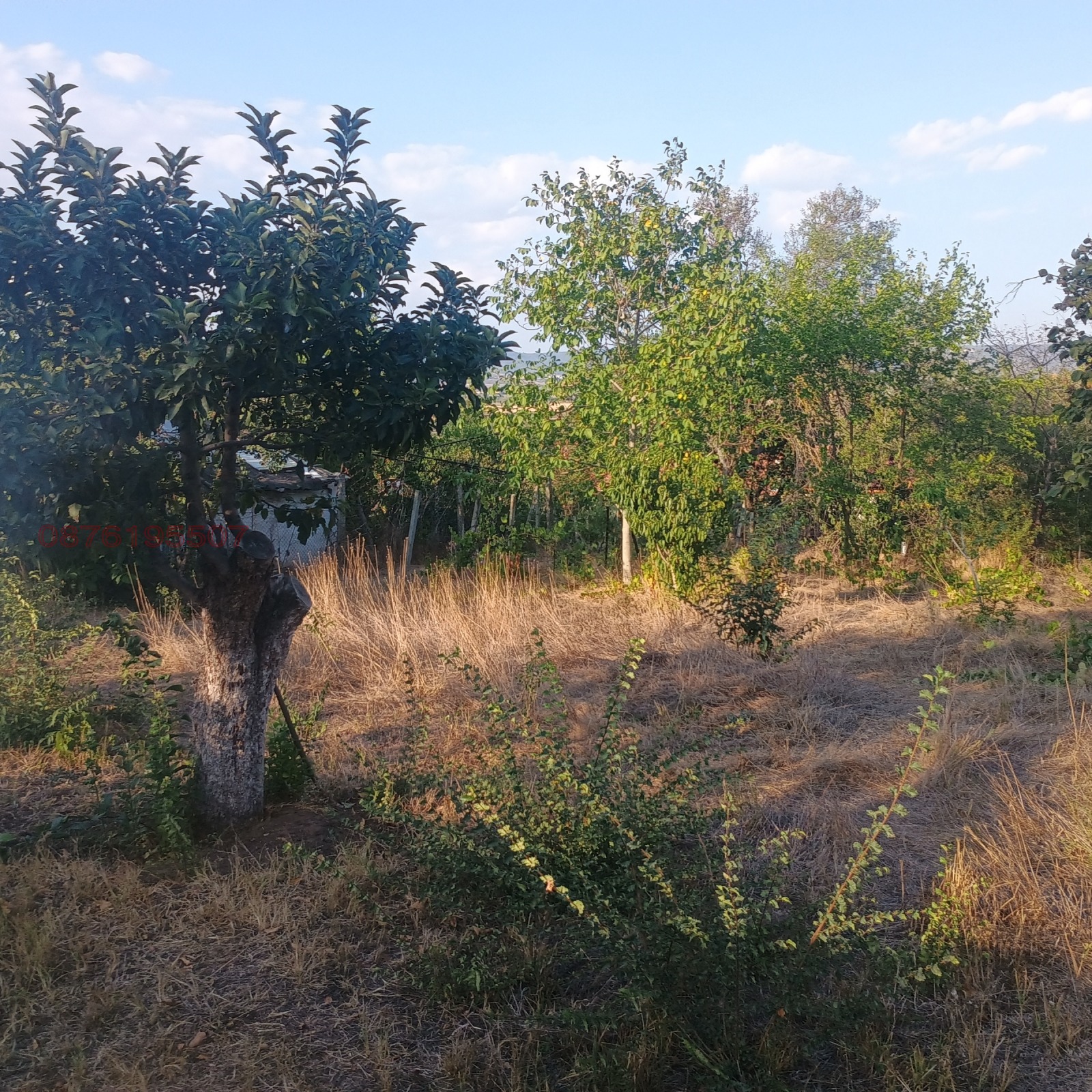 Продава ПАРЦЕЛ, с. Езерово, област Варна, снимка 3 - Парцели - 54282008