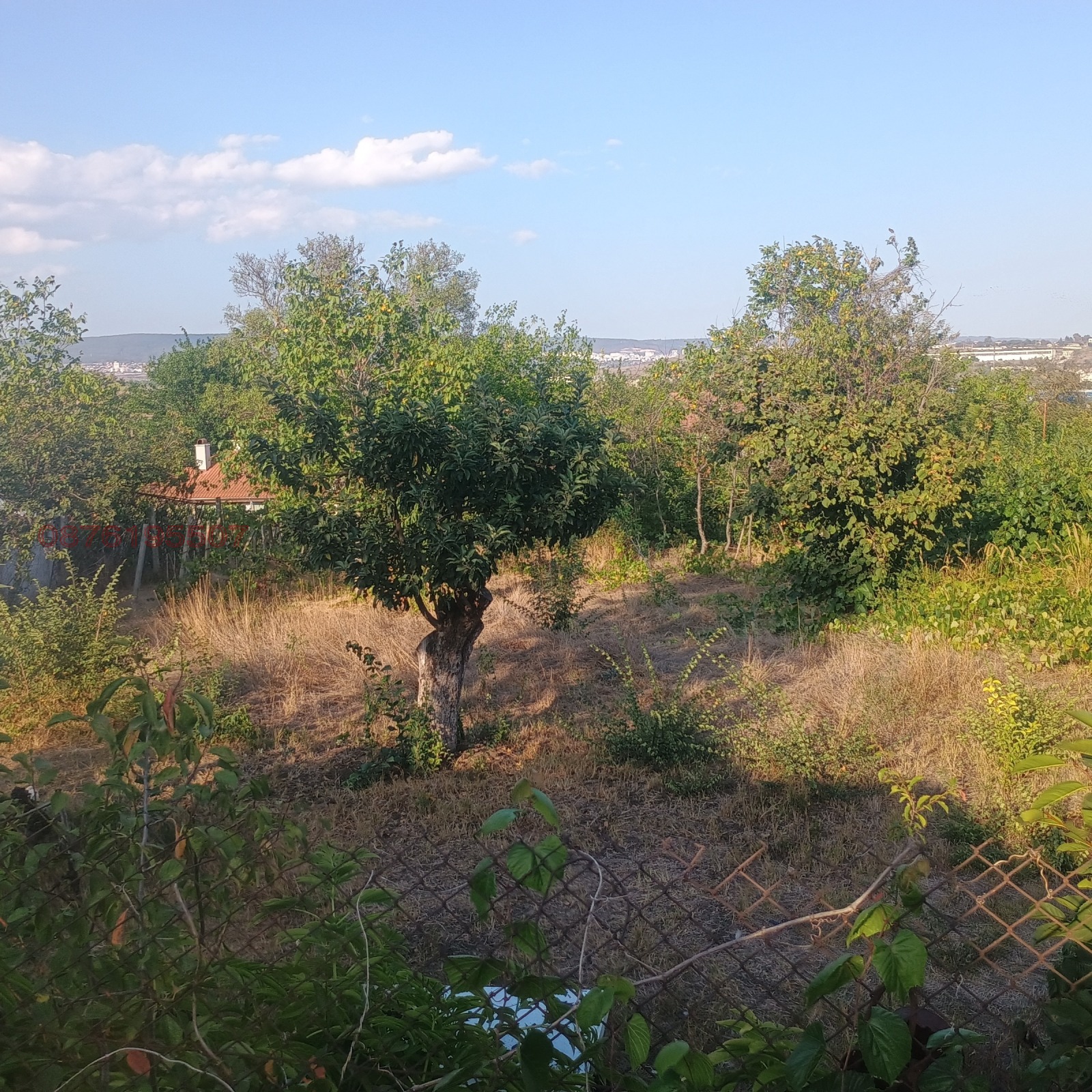 Продава ПАРЦЕЛ, с. Езерово, област Варна, снимка 4 - Парцели - 54282008