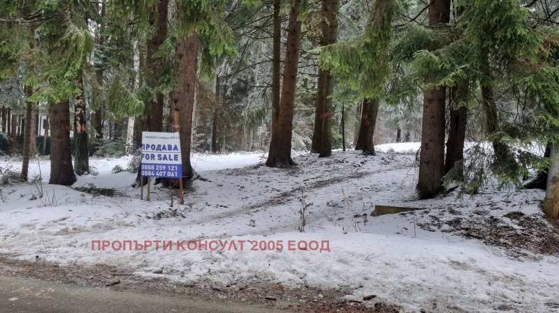 Продава ПАРЦЕЛ в област София, к.к. Боровец - 3427 кв.м / 1 062 370 € » 2 077 815.12 лв., ПРОПЪРТИ КОНСУЛТ 2005 ЕООД