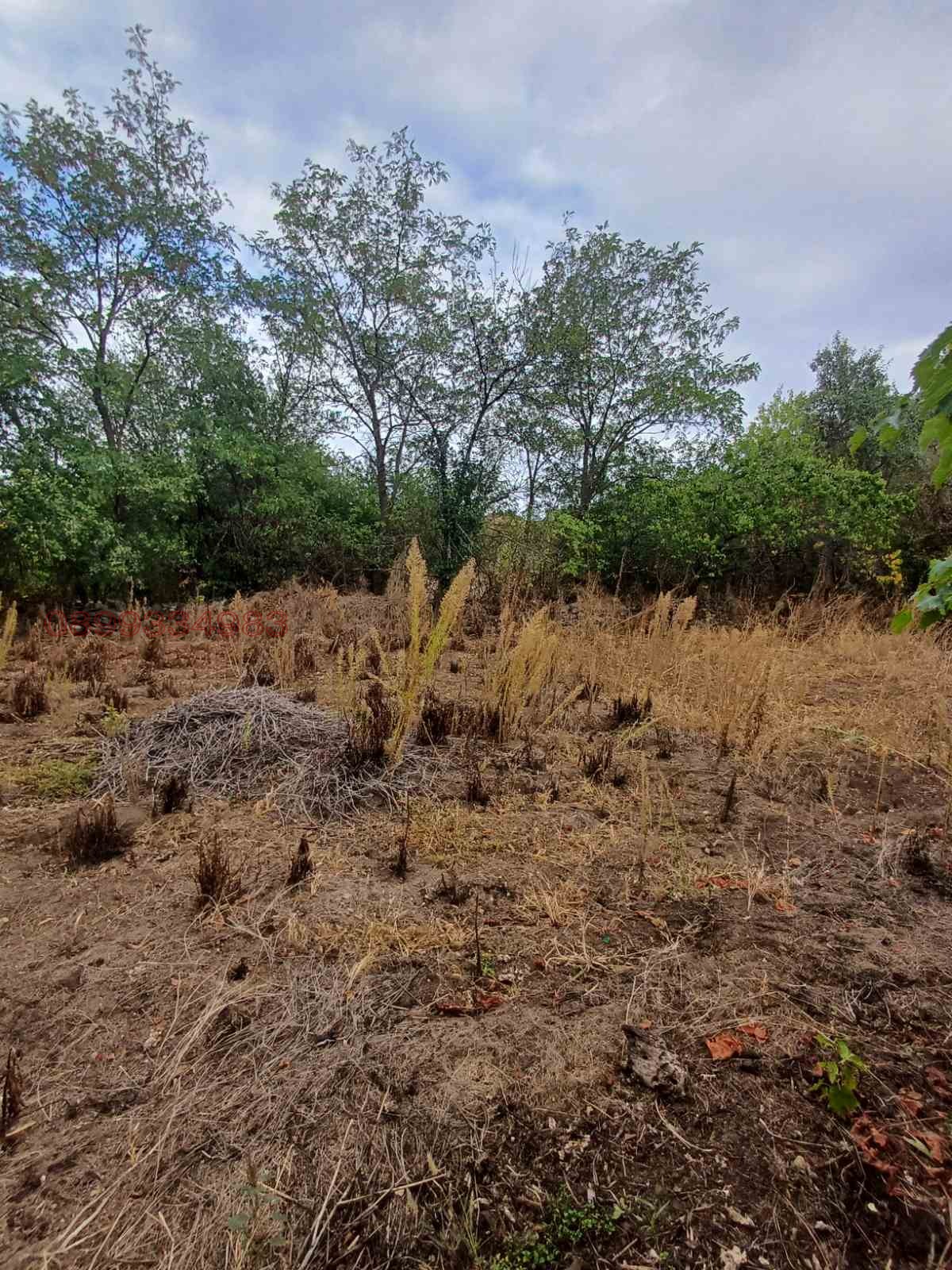 ������� ���� | Imot.bg � ����������� 11