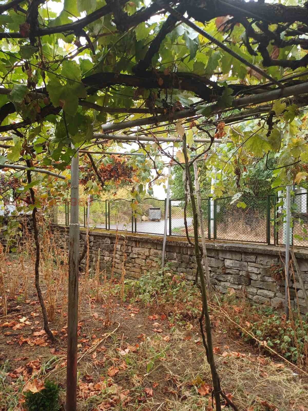 ������� ���� | Imot.bg � ����������� 12