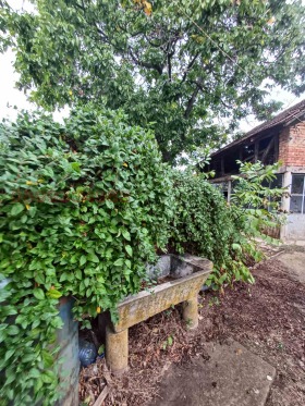 ������� ���� | Imot.bg � ����� ������ 14