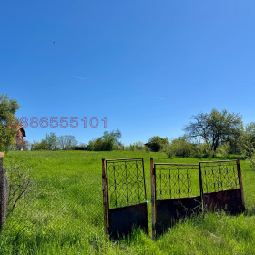 ������ ������� ������