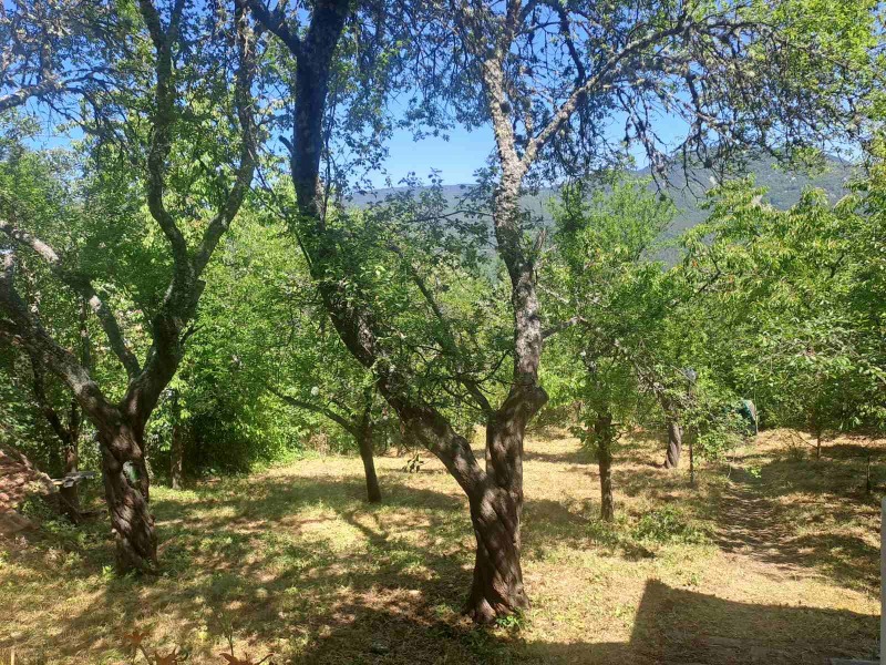 Προς πώληση  σπίτι περιοχή Σόφια , Σβογε , 80 τ.μ | 93045842 - εικόνα [11]