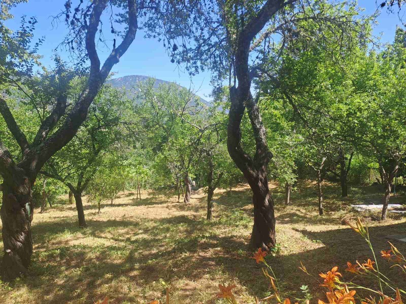 Προς πώληση  σπίτι περιοχή Σόφια , Σβογε , 80 τ.μ | 93045842 - εικόνα [12]