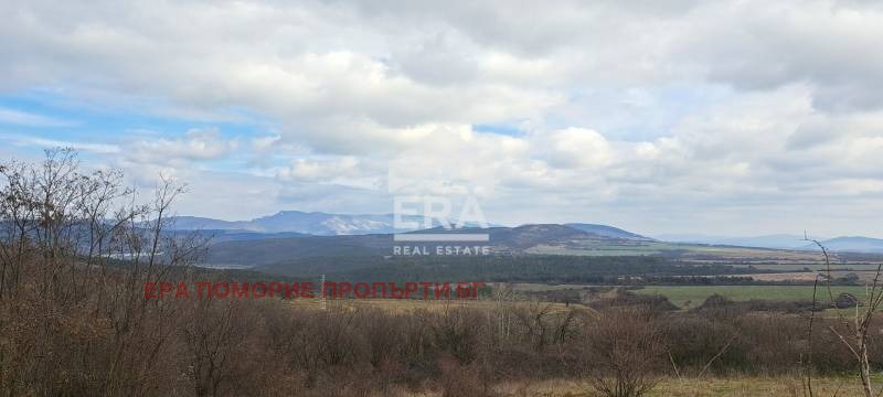 Продава ПАРЦЕЛ, с. Подвис, област Бургас, снимка 3 - Парцели - 50516308